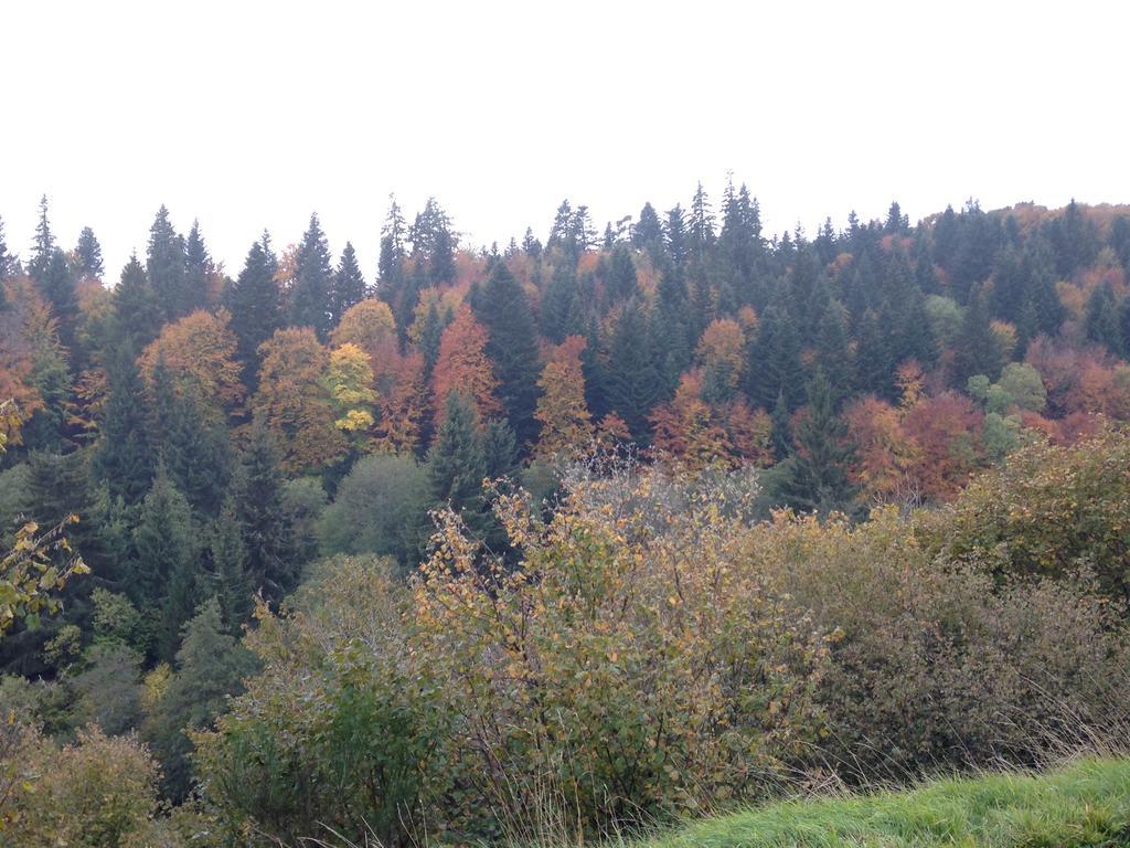 La Vue Sur Le Paradis Chambon-sur-Lac Eksteriør billede